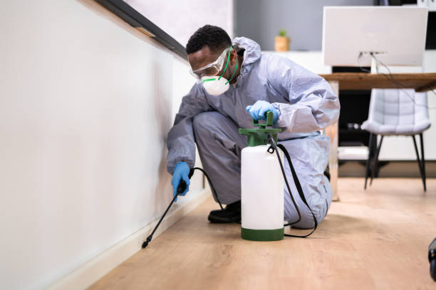 Best Real Estate Pest Inspections  in Huron, CA